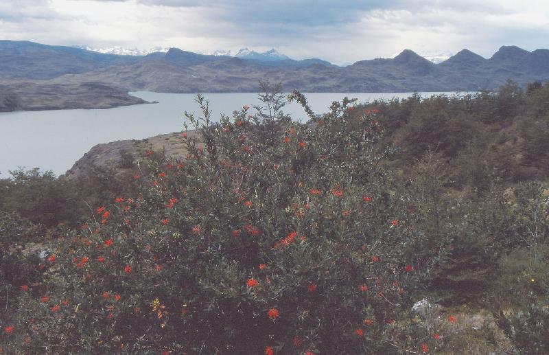 088_Torres del Paine 